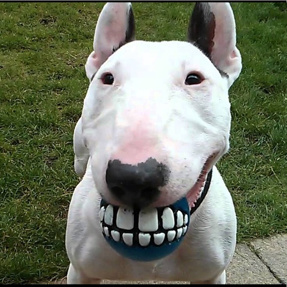 Meet your Posher, Stacie - Picture 2 of 8